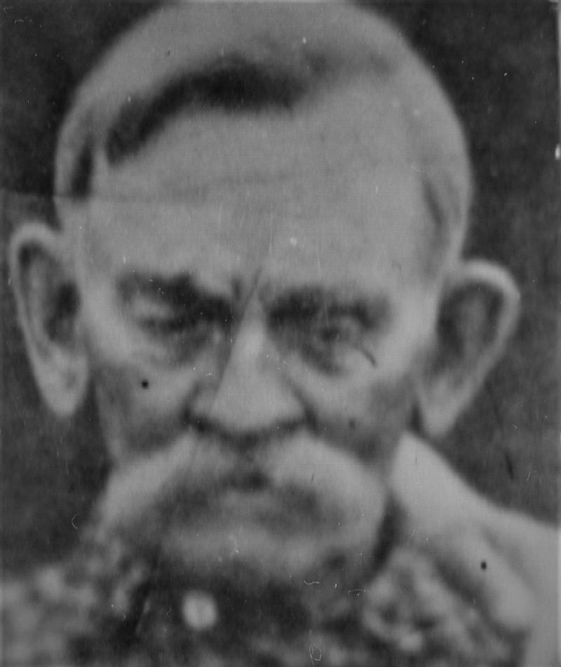 George Carlos Johnston (1847 - 1930) Profile